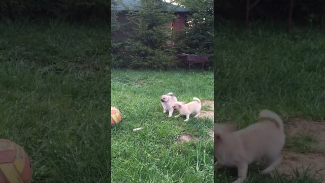 IMG 1401 MOV смотреть онлайн