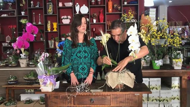 Como Preparar um Arranjo de Orquídeas смотреть онлайн