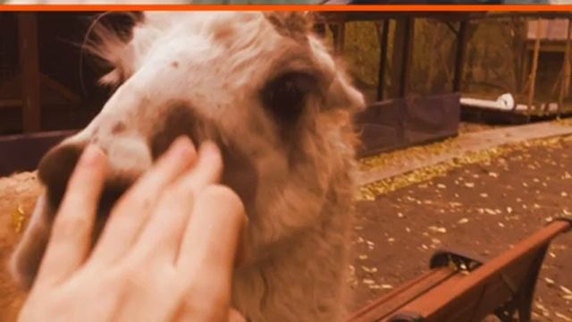 Октябрь 2016. смотреть онлайн