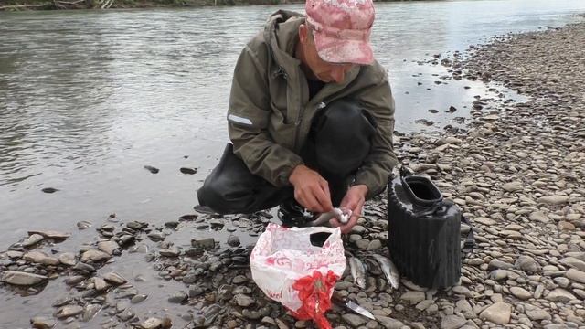 НА РЕЧКУ ЗА ХАРИУСОМ. ЛОВЛЮ, СОЛЮ. смотреть онлайн