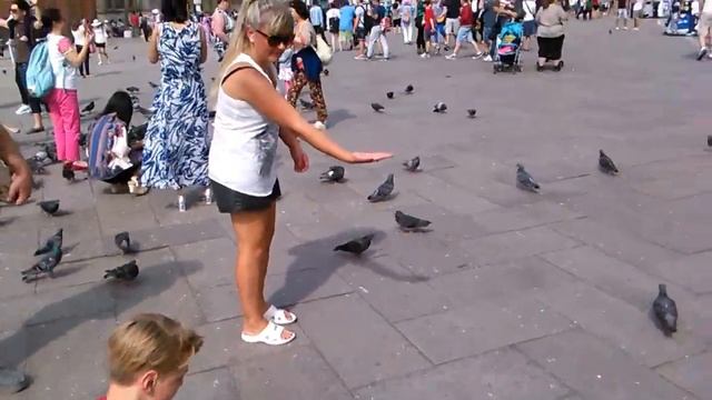 италия,площадь сан марко,венеция смотреть онлайн