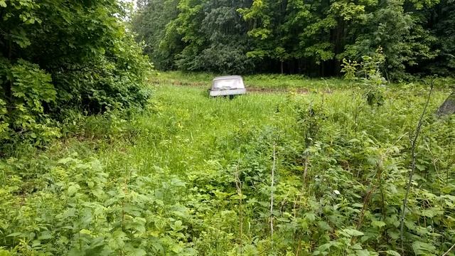 Катаемся смотреть онлайн