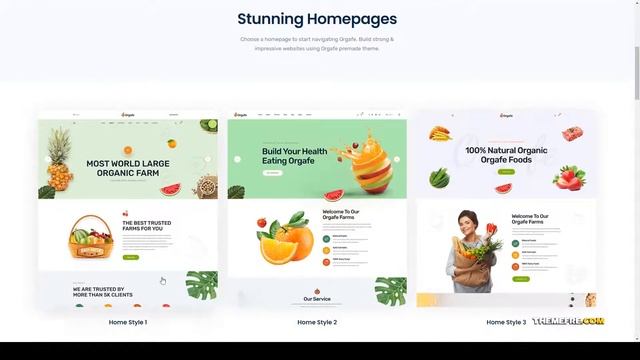 Orgafe - Organic Food WordPress Theme food and fruits vegetable store Build Website смотреть онлайн