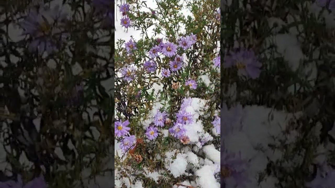 Зима в октябре)) смотреть онлайн