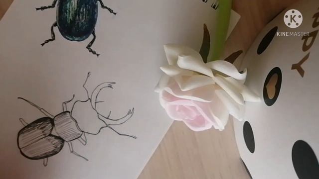 Как нарисовать жука? 🤔Помогу!