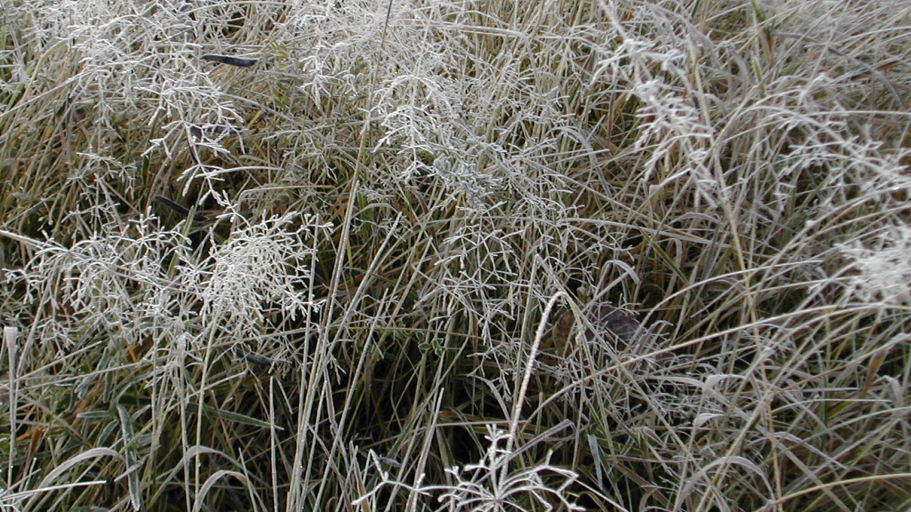 Иеромонах Роман. «Оглядывая прожитую жизнь…» смотреть онлайн