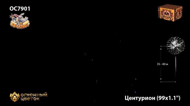 Фейерверк ОС7900 Центурион (1,1" х 99) - НОВЫЙ ЭФФЕКТ 2022/23 смотреть онлайн