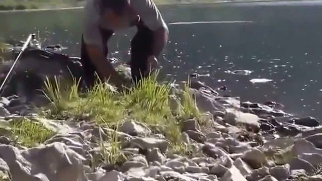 Рыбалка на головля. Ловля головля на удочку. Ловля головля на реке . смотреть онлайн