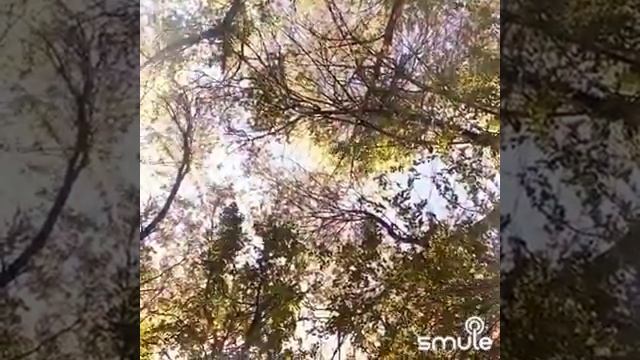 25 октября 2018 г. смотреть онлайн