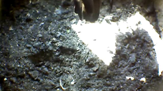 From Internet Camera(Turmfalken[03:1A:A5])2014/07/13,17:53:51_D смотреть онлайн