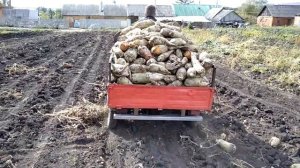 муравей с двигателем от мотоблока.