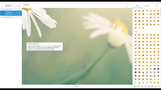 Подключение Телеграмм бота смотреть онлайн