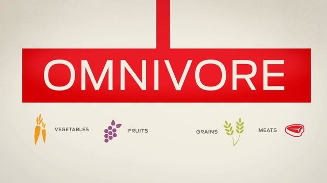 Dogs Are Omnivores - Pet Nutrition By Purina