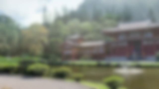 Видео медитация СЕРДЦЕ. [3 минуты практика] смотреть онлайн