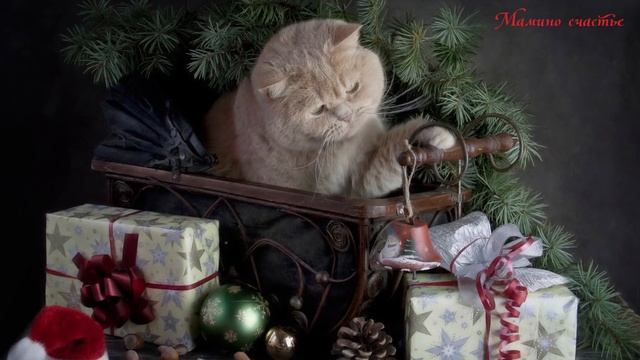 Новый Год у ворот! Детская новогодняя песня смотреть онлайн