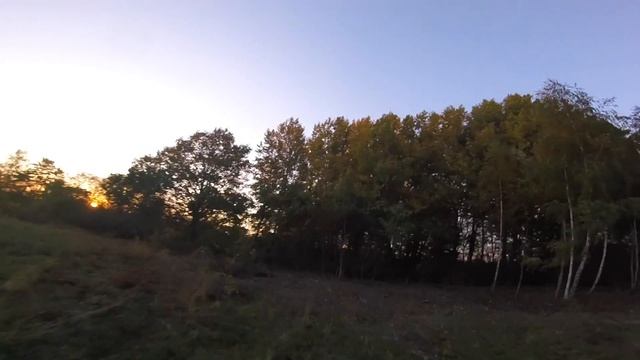Ninja Branches смотреть онлайн