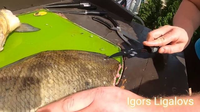 Разделка леща.