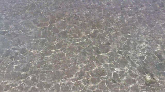 Romance Regency Club 5* Берег Красного моря (Египет, Шарм эль Шейх)