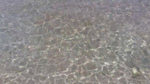 Romance Regency Club 5* Берег Красного моря (Египет, Шарм эль Шейх)