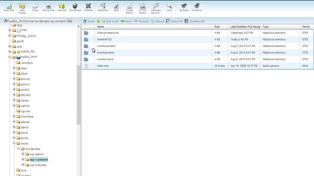 WordPress. Troubleshooter. Missing Images After The Installation смотреть онлайн