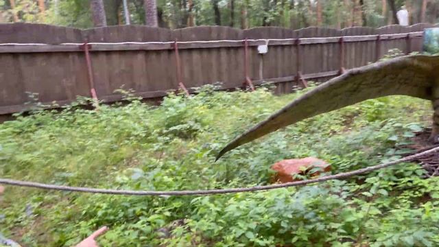 Парк динозавров «Затерянный Мир» Екатеринбург смотреть онлайн