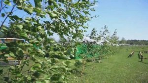 День республики Саха(Якутия)