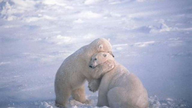 eisai o ilios-tolias смотреть онлайн