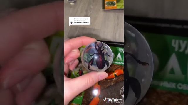 всё для травниц летом буду снимать больше (~‾▿‾)~ смотреть онлайн