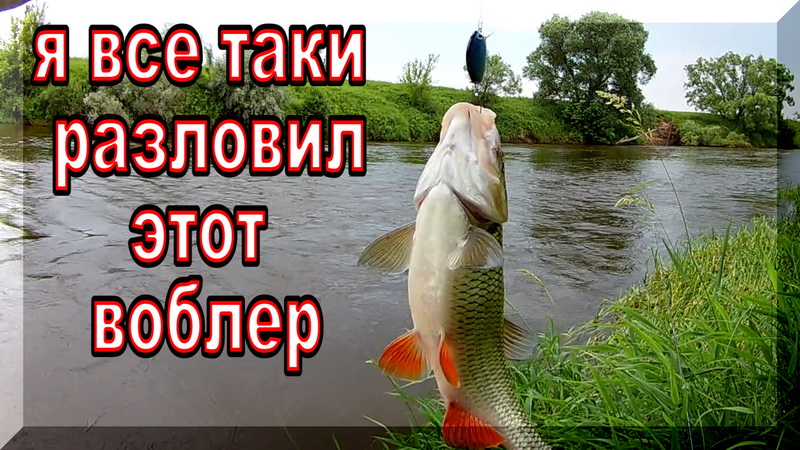 Разловил воблер ручной работы. Перепад погоды не помеха. Голавль на Спиннинг. Голавль 2020. смотреть онлайн