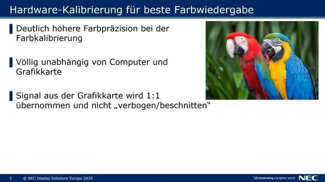 CorelDRAW 2020 & NEC Displays – Software und Hardware Kalibrierung смотреть онлайн
