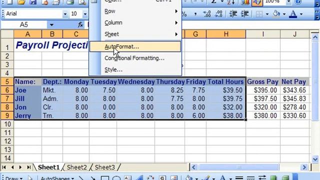 Excel 2003 Tutorial AutoFormatting Microsoft Training Lesson 8.2 смотреть онлайн
