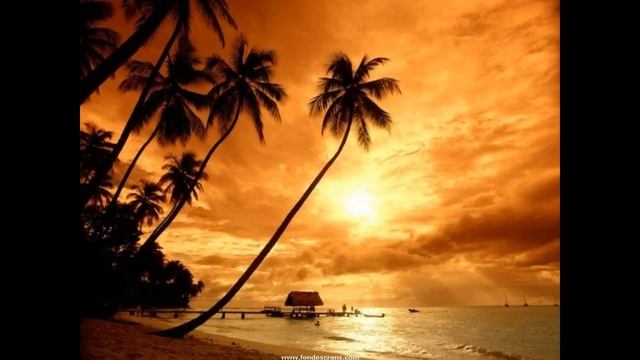Paul Cless - Suavemente (Cha cha cha).wmv смотреть онлайн