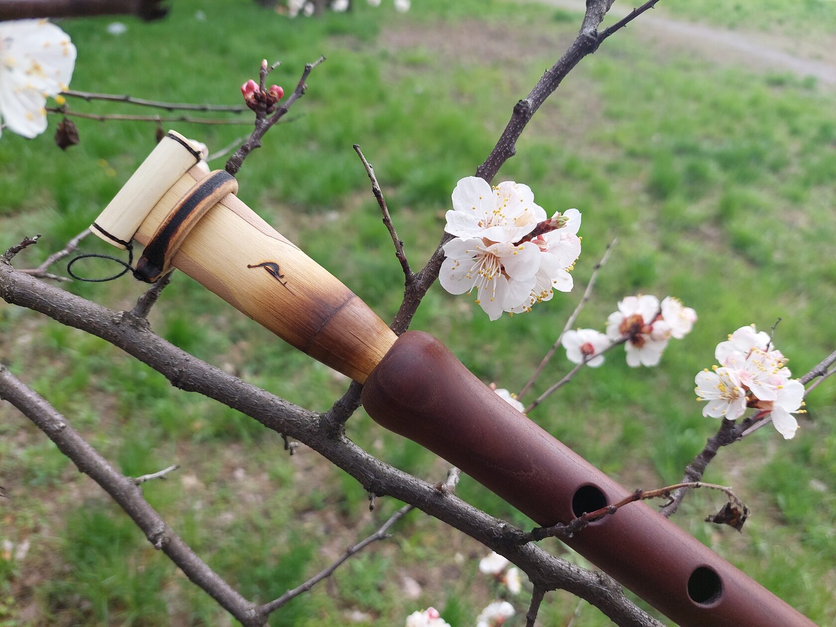 Дудук - расслабляющая музыка, relaxing music. смотреть онлайн