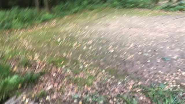 На следующий день после визита госинспектора...