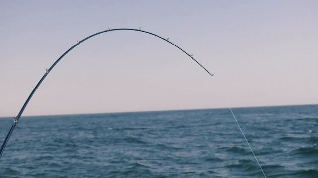 How to Troll for Atlantic Bonito | High-Speed Trolling with Deep Divers смотреть онлайн