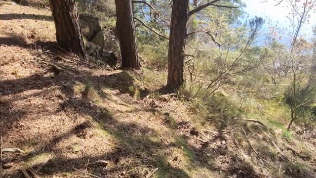 Как одеваться в Норвегии, чтобы не замерзнуть? Обновление по пакетам-сюрпризам с едой ??? смотреть онлайн