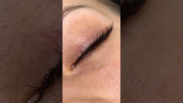 Наращивание ресниц изгиб С #lashes #makeup #shorts #shortvideo смотреть онлайн