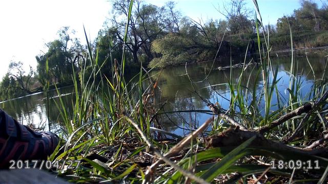 fly fishing 2 смотреть онлайн