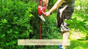 Стрижка живой изгороди аккумуляторным кусторезом