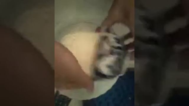 Как сделать торт сердечко №1 смотреть онлайн