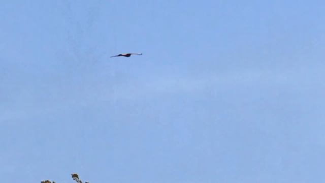 Тюменская область,Ялуторовский район смотреть онлайн