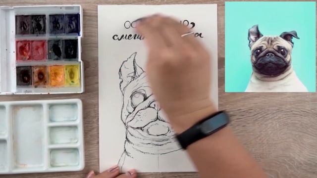 Как легко нарисовать смешного и забавного мопса акварельными красками. Отличная идея для скетча. смотреть онлайн