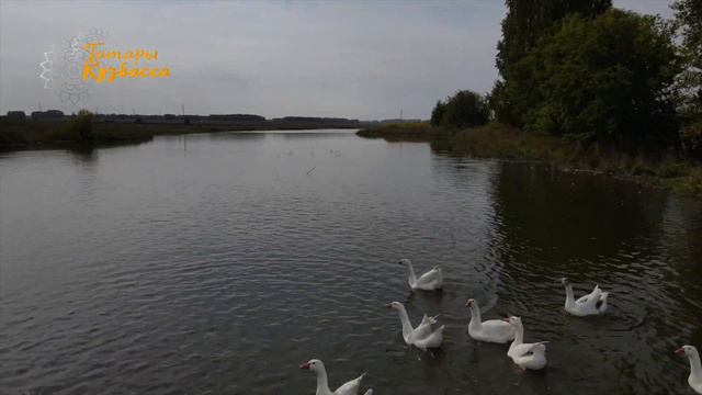 д. Сарсаз смотреть онлайн