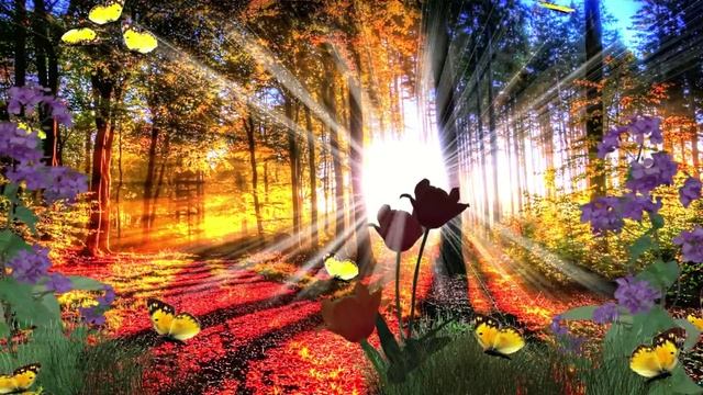 Beautiful Instrumental Music For The Soul 15.01.2023.