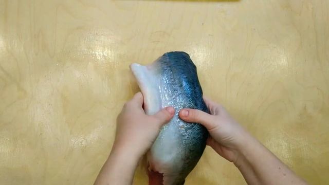 Путешествия Вокруг Света