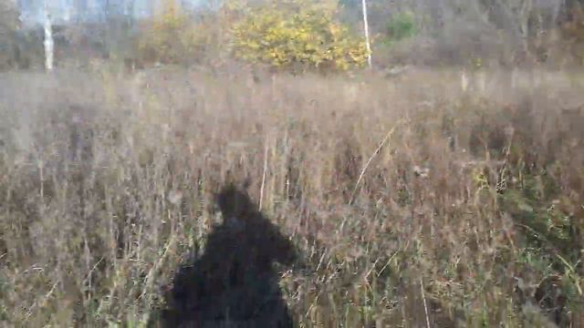 Чи можна козам макух і соняшника сємочки...