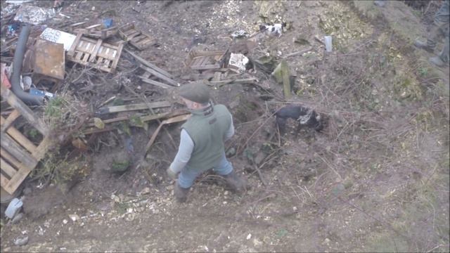 Rat catching with terriers and lurchers - 26th February 2017 смотреть онлайн