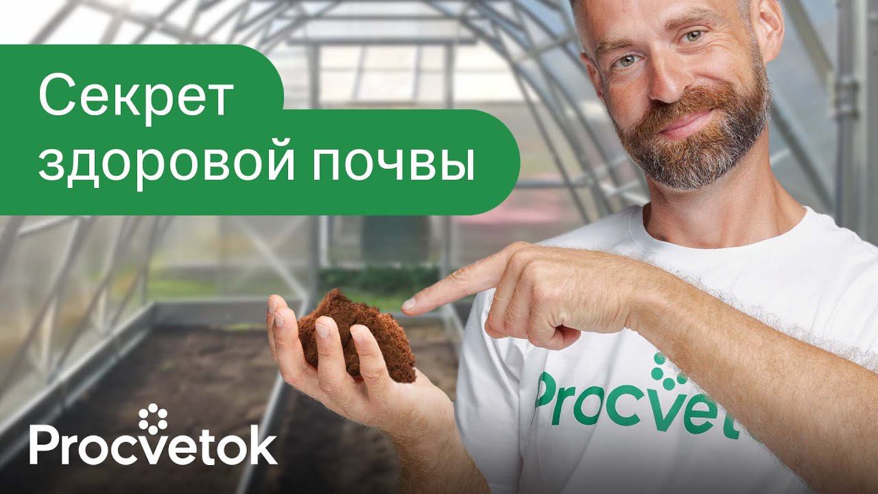 ДОБАВИЛ ЭТО И ПОЧВА В ТЕПЛИЦЕ КАК НОВАЯ! Как улучшить плодородие почвы и избавиться от вредителей смотреть онлайн