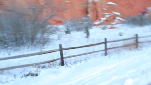 Denver Travel Vlog 2022 | Things to Do in Denver, Places to Eat, Garden of the Gods & More! смотреть онлайн