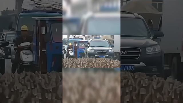 Вещи Которые Вы Увидите Впервые в Жизни!? #shorts #утки #животные смотреть онлайн